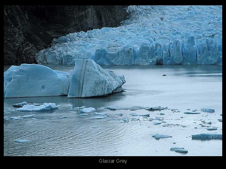 Glaciar Grey 