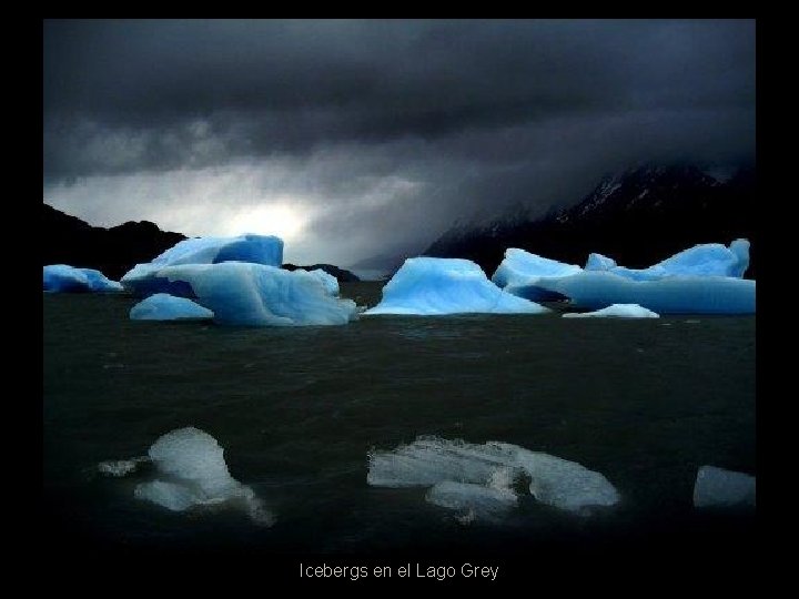 Icebergs en el Lago Grey 