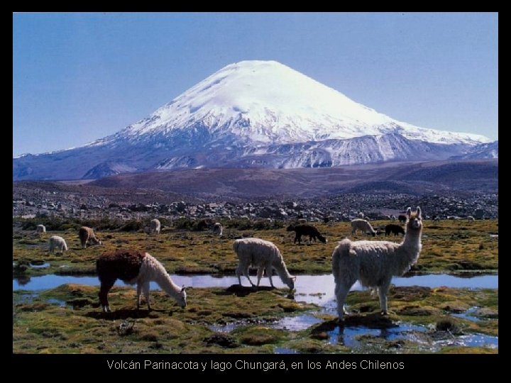 Volcán Parinacota y lago Chungará, en los Andes Chilenos 