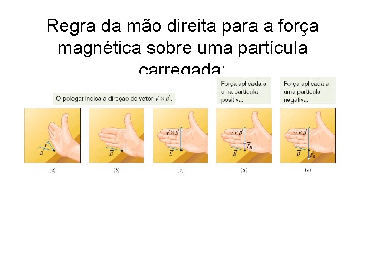 Regra da mão direita para a força magnética sobre uma partícula carregada: 