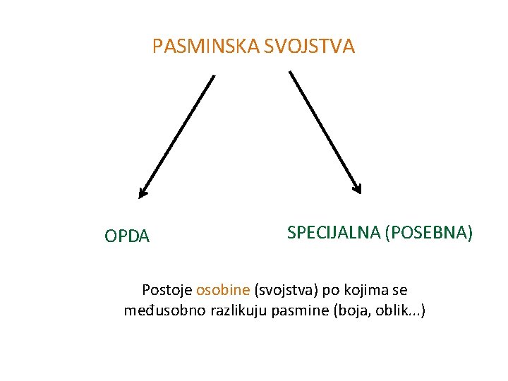 PASMINSKA SVOJSTVA OPDA SPECIJALNA (POSEBNA) Postoje osobine (svojstva) po kojima se međusobno razlikuju pasmine