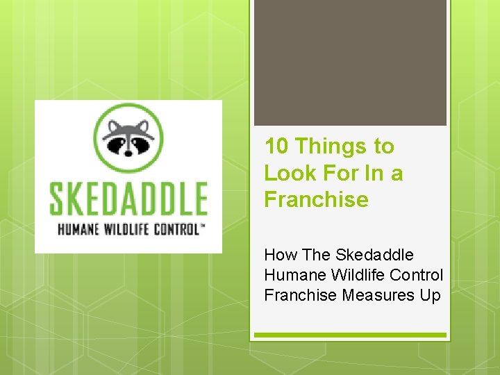 10 Things to Look For In a Franchise How The Skedaddle Humane Wildlife Control
