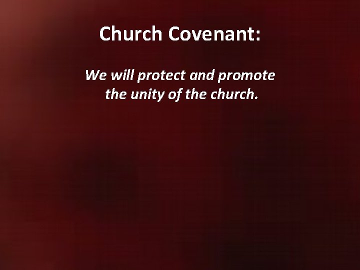 Church Covenant: We will protect and promote the unity of the church. 