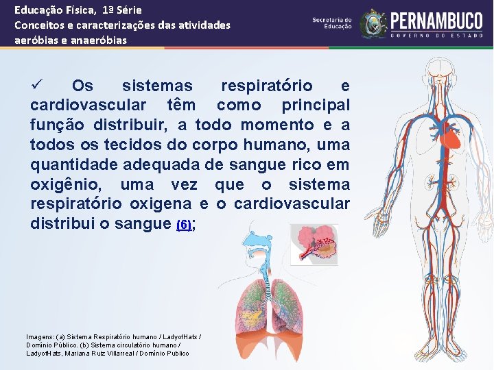 Educação Física, 1ª Série Conceitos e caracterizações das atividades aeróbias e anaeróbias ü Os