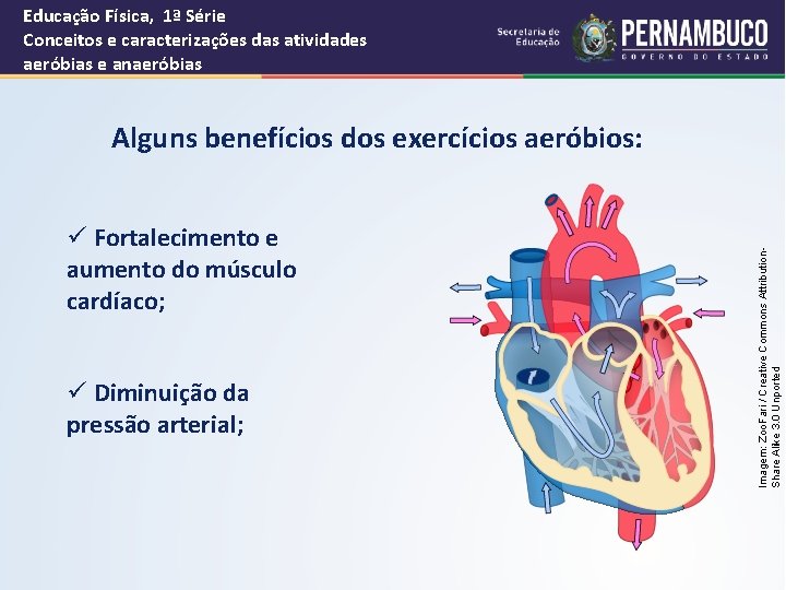 Educação Física, 1ª Série Conceitos e caracterizações das atividades aeróbias e anaeróbias ü Fortalecimento