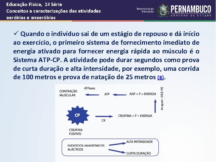 Educação Física, 1ª Série Conceitos e caracterizações das atividades aeróbias e anaeróbias Imagem: SEE-PE