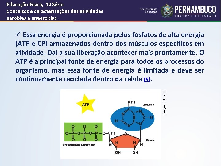 Educação Física, 1ª Série Conceitos e caracterizações das atividades aeróbias e anaeróbias Imagem: SEE-PE