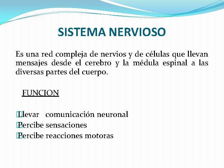 SISTEMA NERVIOSO Es una red compleja de nervios y de células que llevan mensajes