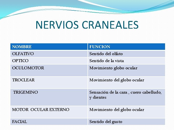 NERVIOS CRANEALES NOMBRE FUNCION OLFATIVO Sentido del olfato OPTICO Sentido de la vista OCULOMOTOR NERVIOS CRANEALES NOMBRE FUNCION OLFATIVO Sentido del olfato OPTICO Sentido de la vista OCULOMOTOR