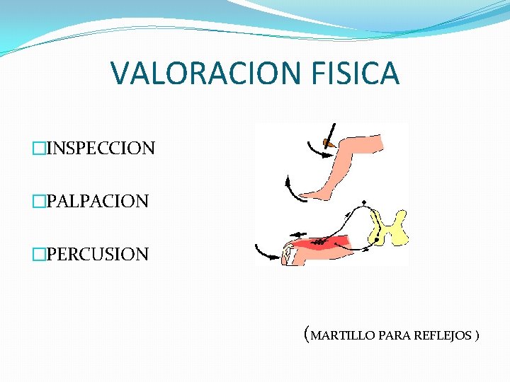 VALORACION FISICA �INSPECCION �PALPACION �PERCUSION (MARTILLO PARA REFLEJOS ) VALORACION FISICA �INSPECCION �PALPACION �PERCUSION (MARTILLO PARA REFLEJOS )