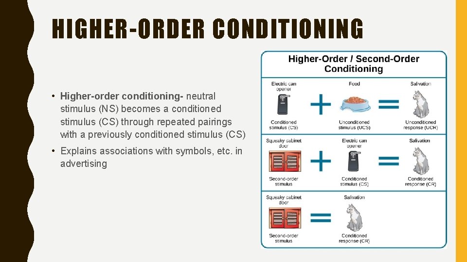 HIGHER-ORDER CONDITIONING • Higher-order conditioning- neutral stimulus (NS) becomes a conditioned stimulus (CS) through