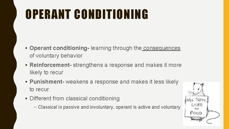 OPERANT CONDITIONING • Operant conditioning- learning through the consequences of voluntary behavior • Reinforcement-