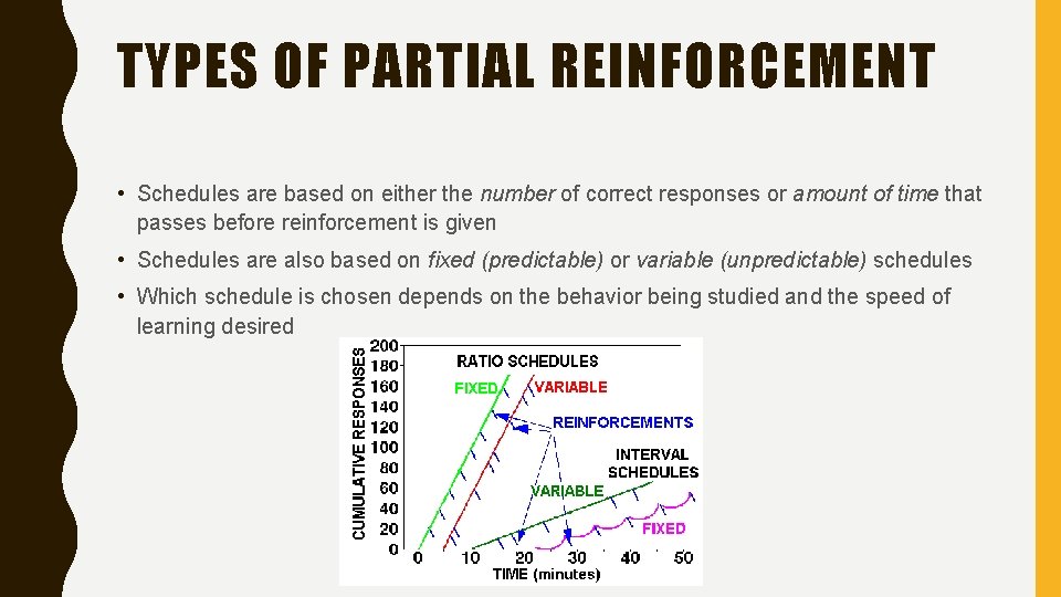 TYPES OF PARTIAL REINFORCEMENT • Schedules are based on either the number of correct