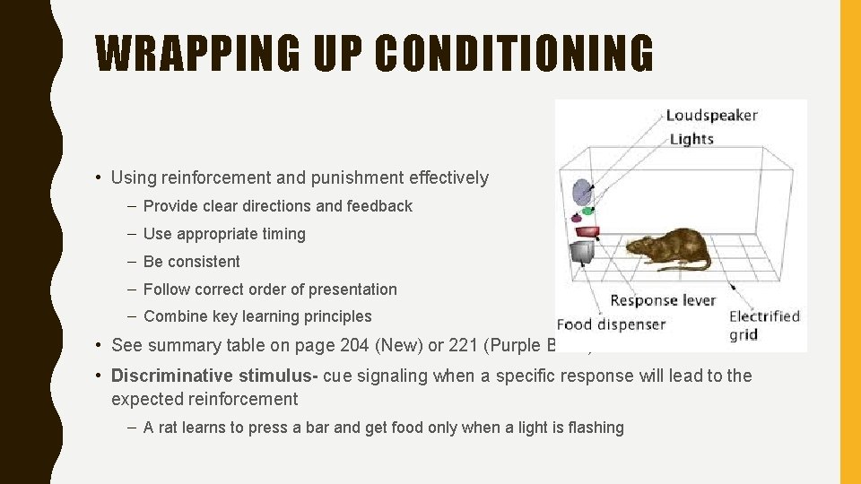 WRAPPING UP CONDITIONING • Using reinforcement and punishment effectively – Provide clear directions and