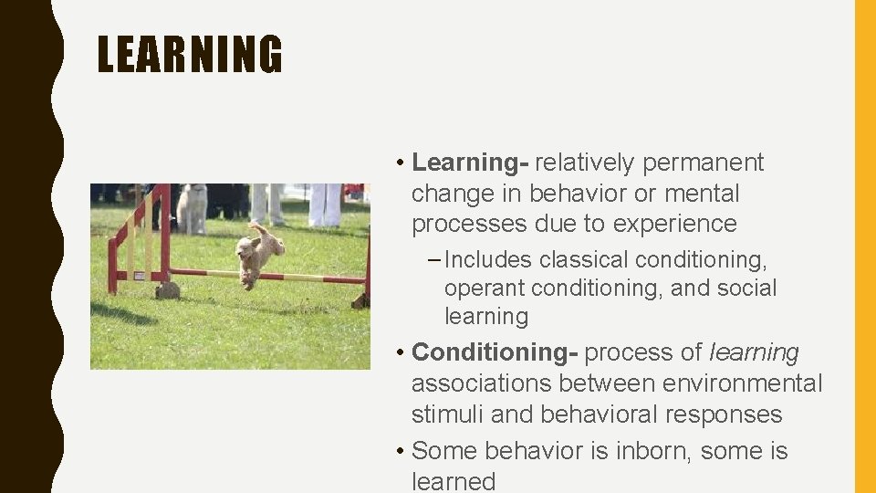 LEARNING • Learning- relatively permanent change in behavior or mental processes due to experience