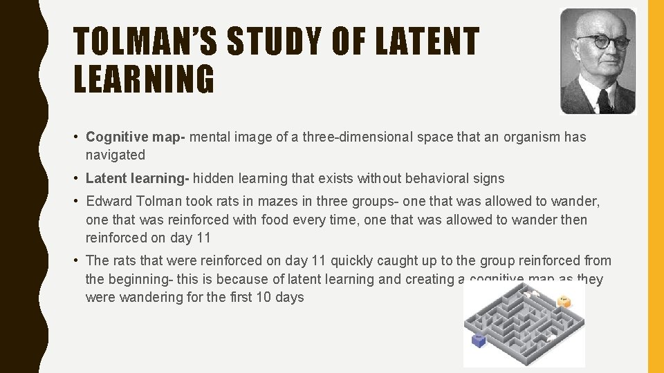 TOLMAN’S STUDY OF LATENT LEARNING • Cognitive map- mental image of a three-dimensional space