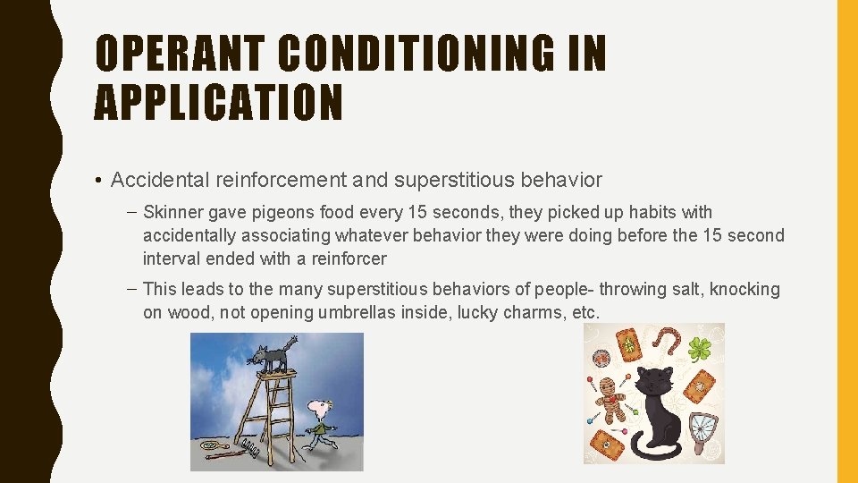 OPERANT CONDITIONING IN APPLICATION • Accidental reinforcement and superstitious behavior – Skinner gave pigeons