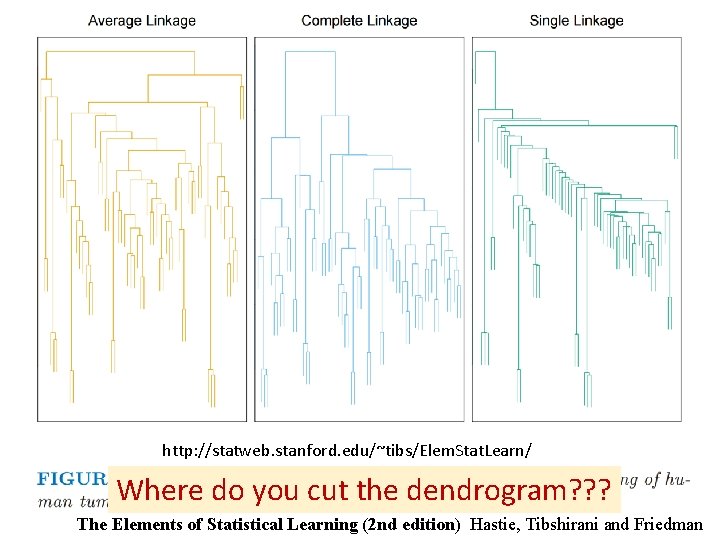 http: //statweb. stanford. edu/~tibs/Elem. Stat. Learn/ Where do you cut the dendrogram? ? ?