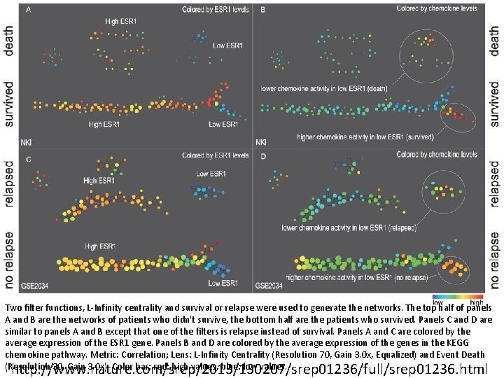 Two filter functions, L-Infinity centrality and survival or relapse were used to generate the