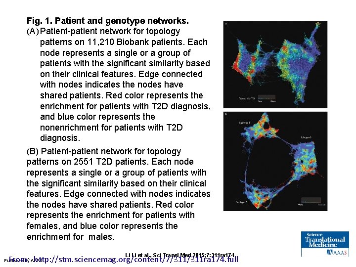 Fig. 1. Patient and genotype networks. (A) Patient-patient network for topology patterns on 11,