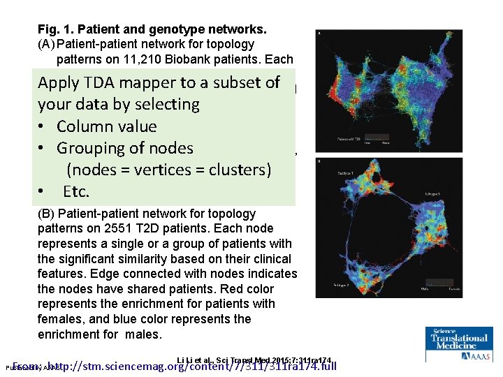 Fig. 1. Patient and genotype networks. (A) Patient-patient network for topology patterns on 11,