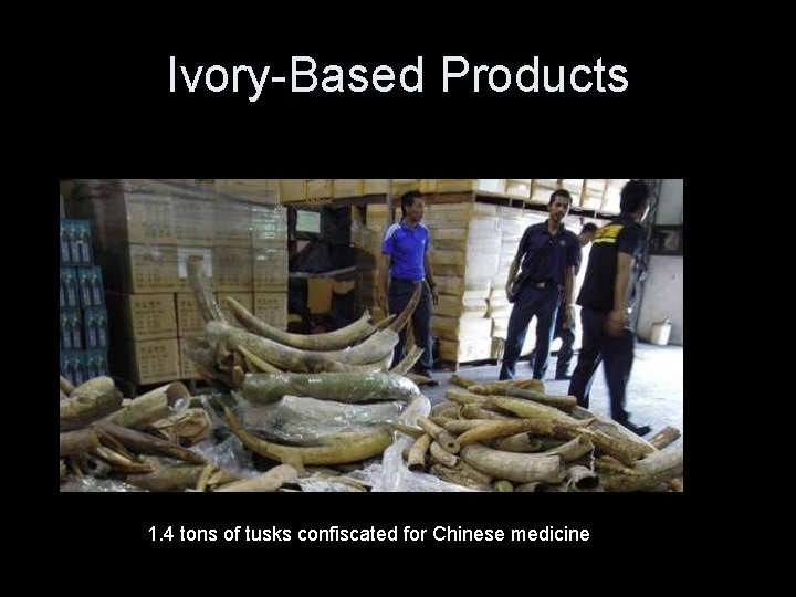 Ivory-Based Products 1. 4 tons of tusks confiscated for Chinese medicine 