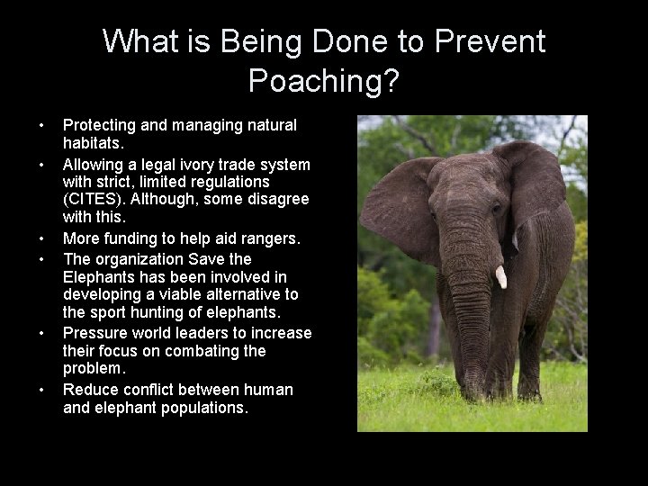 What is Being Done to Prevent Poaching? • • • Protecting and managing natural