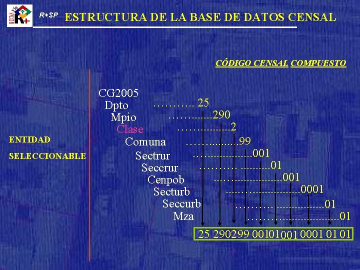 R+SP ESTRUCTURA DE LA BASE DE DATOS CENSAL CÓDIGO CENSAL COMPUESTO ENTIDAD SELECCIONABLE CG