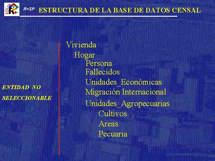 R+SP ESTRUCTURA DE LA BASE DE DATOS CENSAL ENTIDAD NO SELECCIONABLE Vivienda Hogar Persona