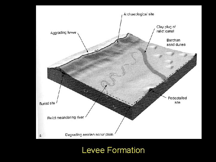 Levee Formation 