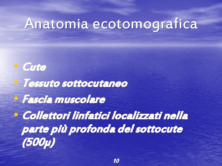 Anatomia ecotomografica • Cute • Tessuto sottocutaneo • Fascia muscolare • Collettori linfatici localizzati
