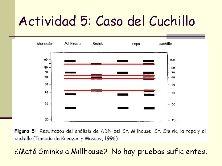 Actividad 5: Caso del Cuchillo ¿Mató Sminks a Millhouse? No hay pruebas suficientes. Actividad 5: Caso del Cuchillo ¿Mató Sminks a Millhouse? No hay pruebas suficientes.
