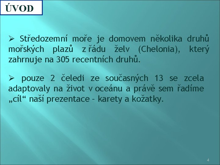 ÚVOD Ø Středozemní moře je domovem několika druhů mořských plazů z řádu želv (Chelonia),
