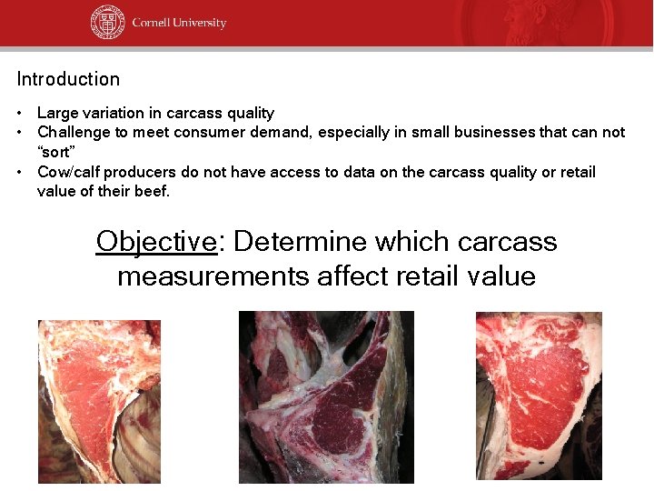 Introduction • Large variation in carcass quality • Challenge to meet consumer demand, especially