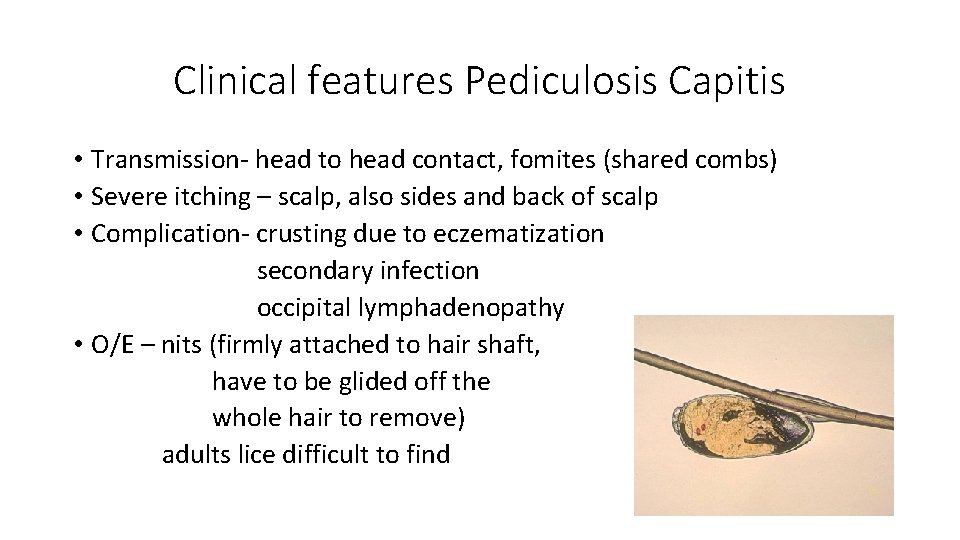 Clinical features Pediculosis Capitis • Transmission- head to head contact, fomites (shared combs) •