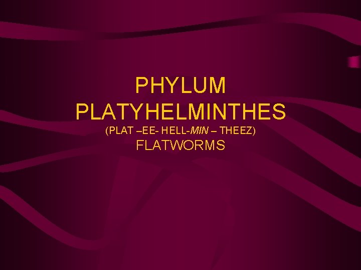 PHYLUM PLATYHELMINTHES (PLAT –EE- HELL-MIN – THEEZ) FLATWORMS 