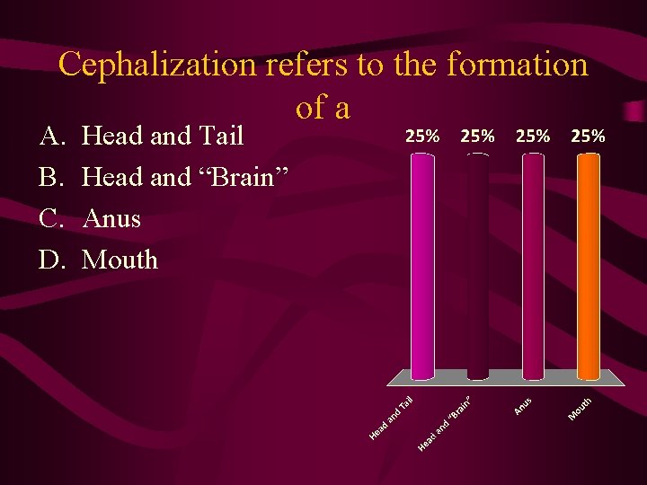 Cephalization refers to the formation of a A. B. C. D. Head and Tail