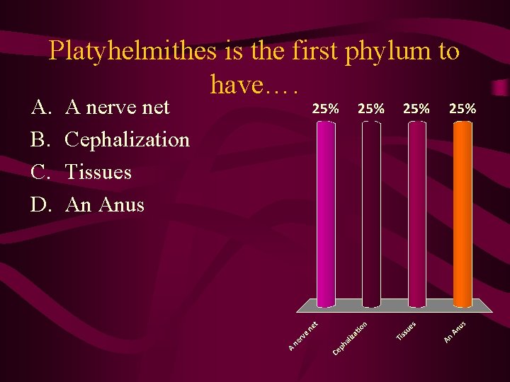 Platyhelmithes is the first phylum to have…. A. B. C. D. A nerve net