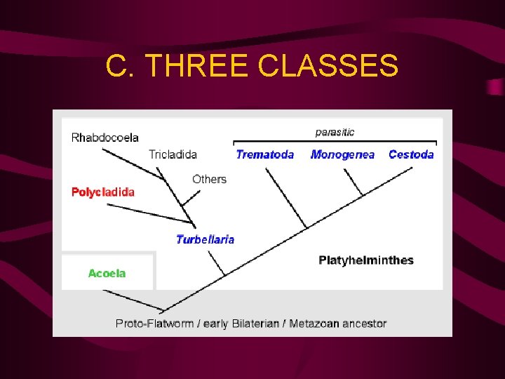 C. THREE CLASSES 