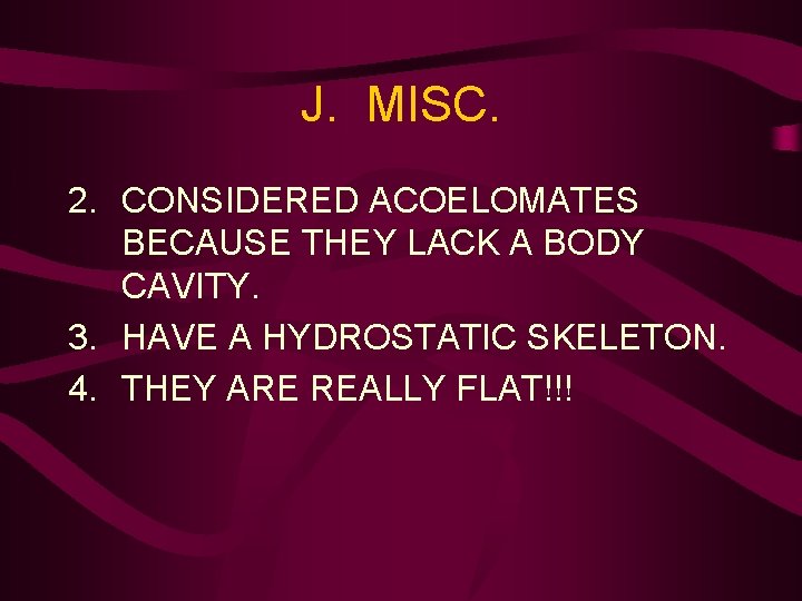 J. MISC. 2. CONSIDERED ACOELOMATES BECAUSE THEY LACK A BODY CAVITY. 3. HAVE A