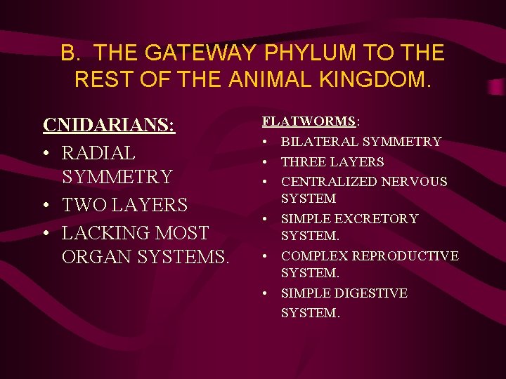 B. THE GATEWAY PHYLUM TO THE REST OF THE ANIMAL KINGDOM. CNIDARIANS: • RADIAL