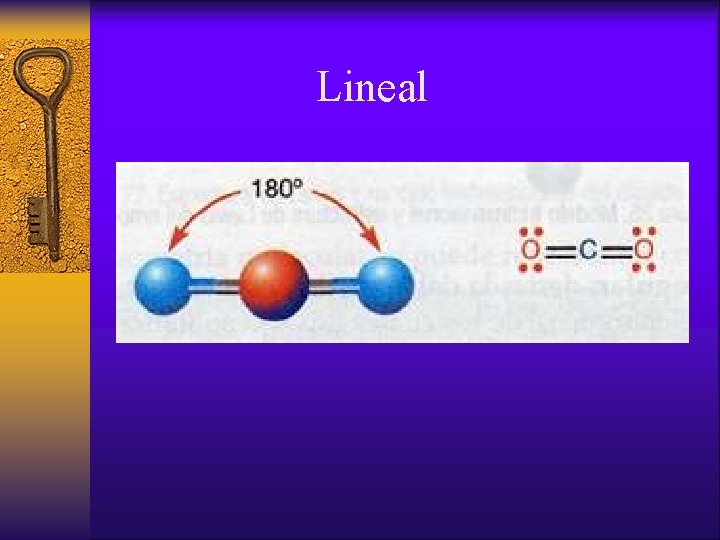 Lineal 