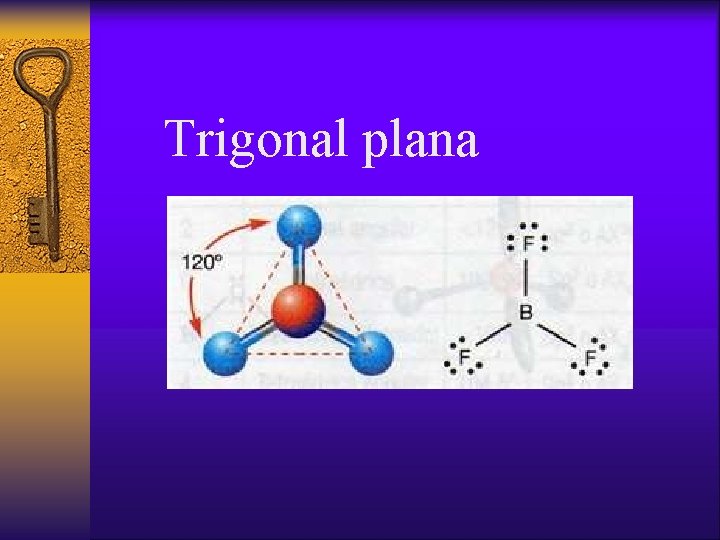 Trigonal plana 