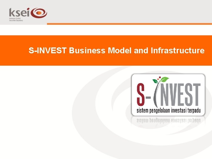 S-INVEST Business Model and Infrastructure 