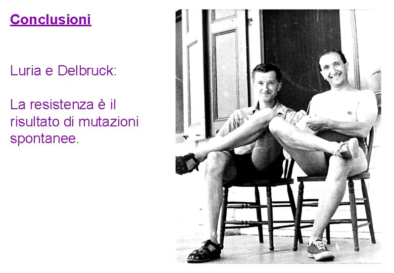 Conclusioni Luria e Delbruck: La resistenza è il risultato di mutazioni spontanee. Conclusioni Luria e Delbruck: La resistenza è il risultato di mutazioni spontanee.