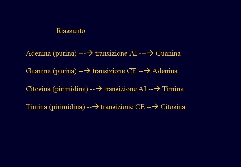 Riassunto Adenina (purina) --- transizione AI --- Guanina (purina) -- transizione CE -- Adenina Riassunto Adenina (purina) --- transizione AI --- Guanina (purina) -- transizione CE -- Adenina
