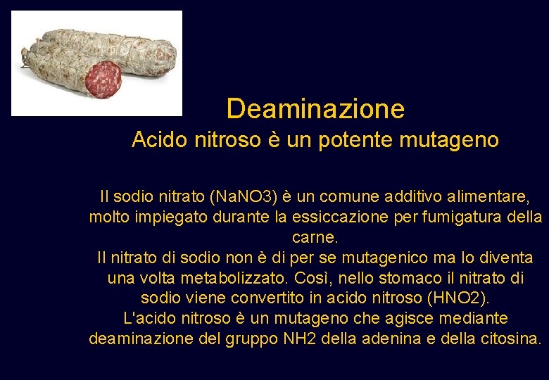 Deaminazione Acido nitroso è un potente mutageno Il sodio nitrato (Na. NO 3) è Deaminazione Acido nitroso è un potente mutageno Il sodio nitrato (Na. NO 3) è