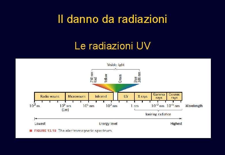 Il danno da radiazioni Le radiazioni UV Il danno da radiazioni Le radiazioni UV