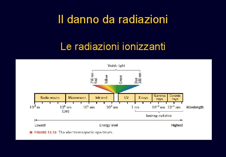 Il danno da radiazioni Le radiazionizzanti Il danno da radiazioni Le radiazionizzanti