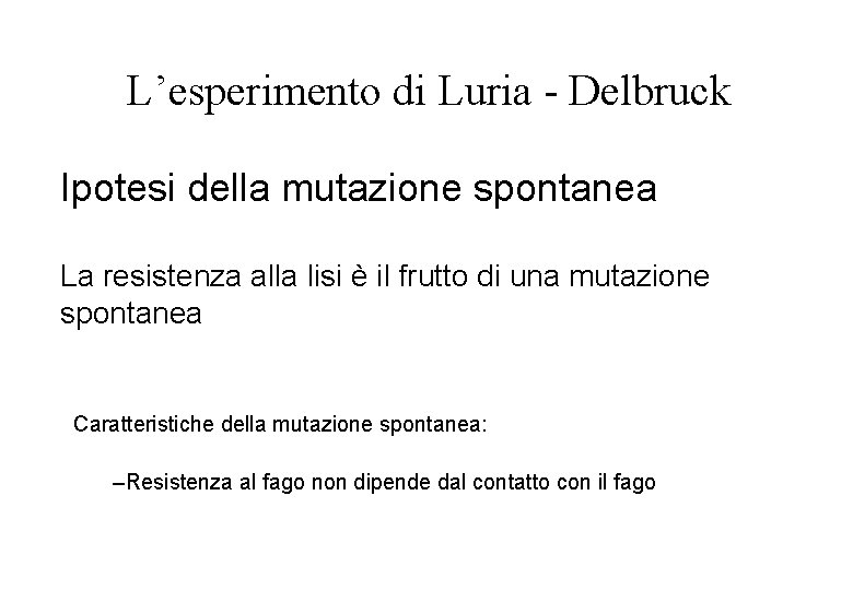 L’esperimento di Luria - Delbruck Ipotesi della mutazione spontanea La resistenza alla lisi è L’esperimento di Luria - Delbruck Ipotesi della mutazione spontanea La resistenza alla lisi è